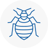 Bed Bug Extermination In Neasden